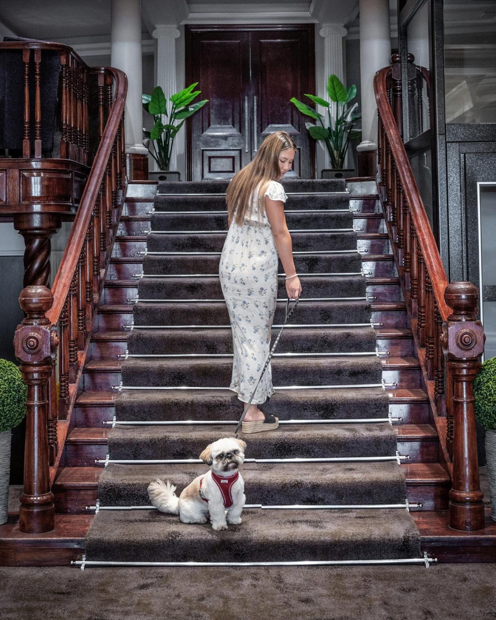 Grand Jersey Hotel And Spa Saint Helier Jersey Εξωτερικό φωτογραφία A woman walking her dog